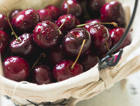 水果冻肉行业服务