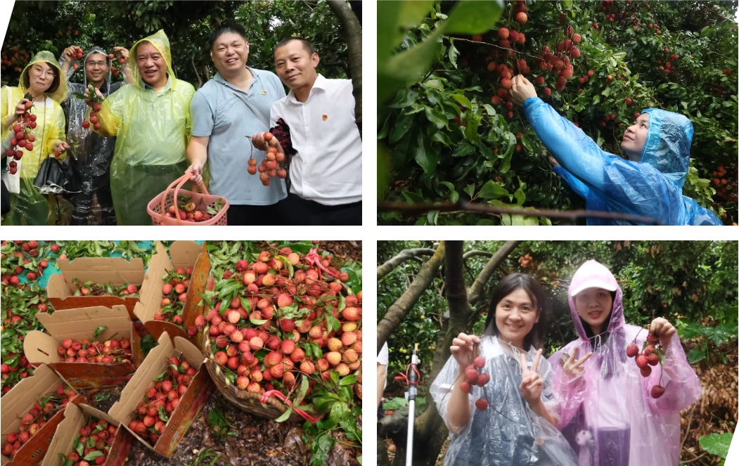 Stake(中国区)官方网站